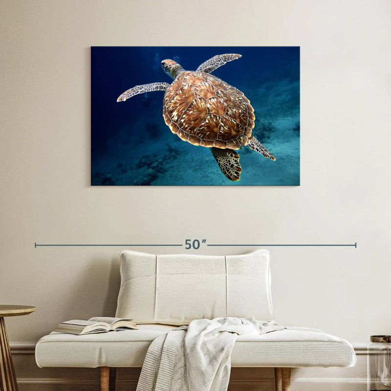 Brampt Swimming Turtle