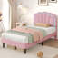 Standard-801287280-801287287