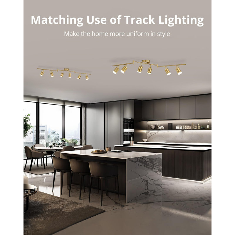 6 Light Gold Track Lighting Kit