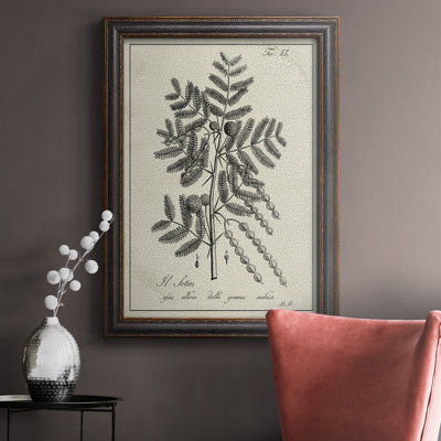 Toile encadrée de qualité supérieure antique noir et blanc botanique I - prête à être accrochée