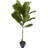 Fiddle Leaf Tree UV Resistant (Indoor/Outdoor)-23857188