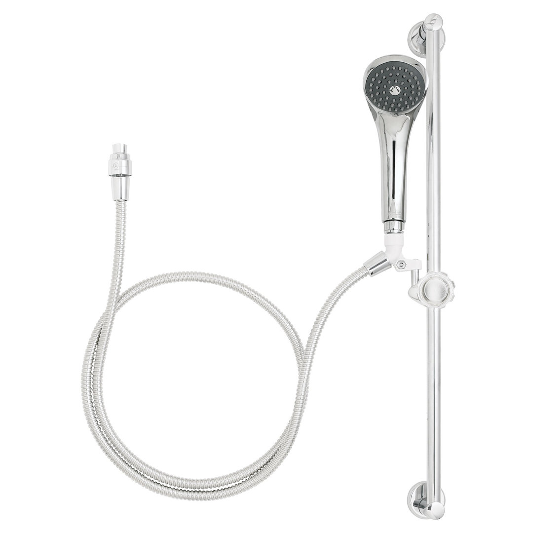Versatile Handicap Shower Combination Speakman
