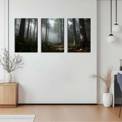 Ensemble de 3 tableaux sur toile représentant un paysage naturel de forêt brumeuse