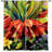 Arkins Room Darkening Curtain Pair-22086698