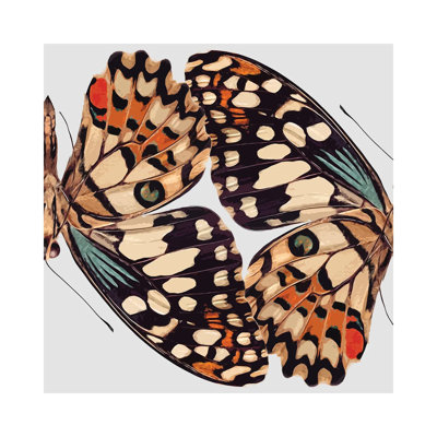 Butterfly Mirror by Art Mirano - Wrapped Canvas Print