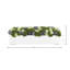 Sedum and Thistle Arranged in Rectangular Planter
