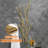 Modern 11-Hook Wall Mounted Coat Rack in Gold with Tree Branch Shape