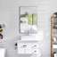 Armoire à pharmacie de salle de bain polyvalente à porte simple avec miroir, surface ou encastré Ebern Designs, armoire de meuble-lavabo avec 2 tablettes réglables en plastique