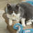 Scratching Post