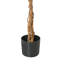 Faux Plant in Plastic and Cement Pot Liner-343481694