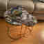 Photos des clients 2 de 2