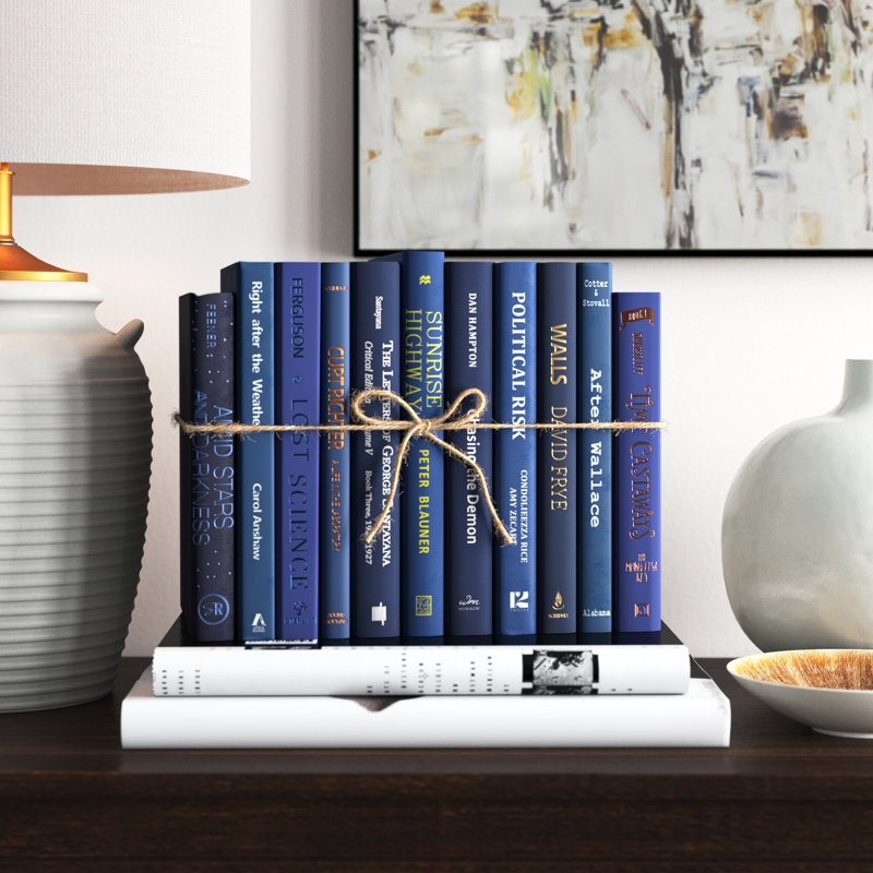 Serefina 12" W Decorative Blue Book Bundle