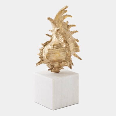 Spider Conch Decorative Object