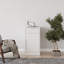 Quaylen Storage Cabinet