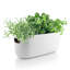 Ceramic Window Box Planter-59362338