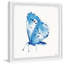 « big blue papillon », impression encadrée-1134206879