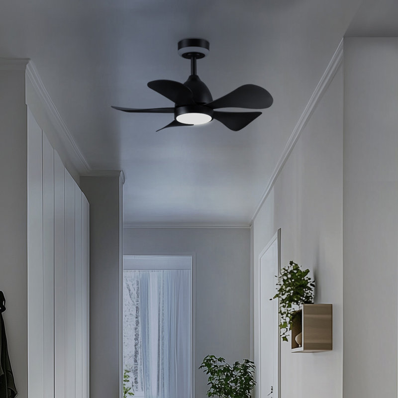 30" Ceiling Fan with LED Light Night Light, Remote Control, WhisperQuiet DC Motor, 6 Speeds, Matte Black, Reversible Airflow
