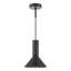 Ragnar 1LT PENDANT DUAL PURPOSE-456336099