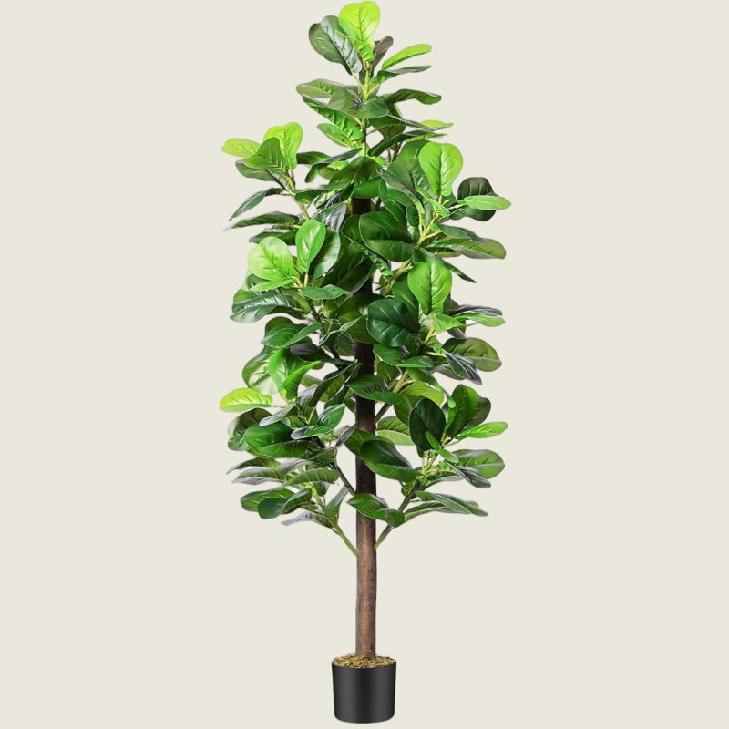 Figuier Forest Forest, H 59,06 po x l 19,69 po x P 19,69 po