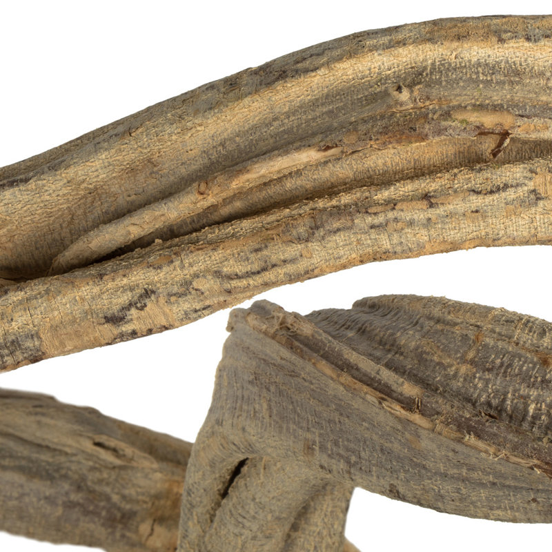 Primrue 18-22" Bleached Twisted Vine Bundle, 3 pack