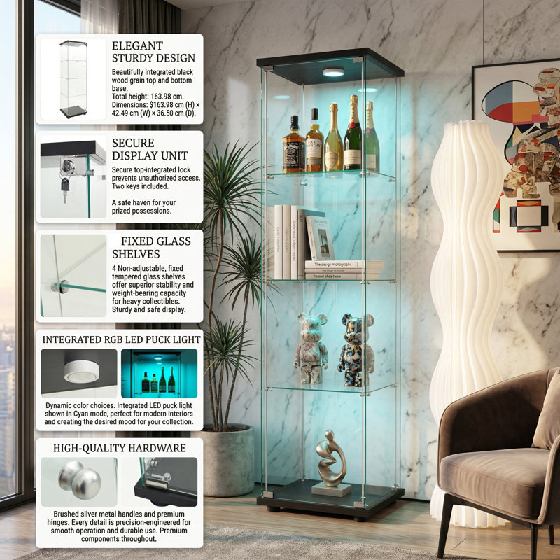 4-Tier Single Door Glass Display Cabinet with LED Lights,  Fully Transparent Tall Curio Cabinet, Black / White, Black