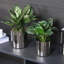 Handmade Metal Pot Planter