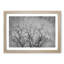 Bird In A Winter Tree Painting - Single Picture Frame Print on MDF-56633817-56633816