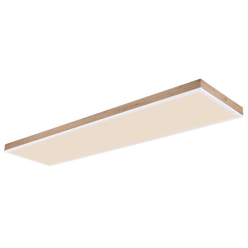 Ason Plastic LED Flush Mount