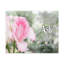 No Frame Print on Canvas