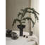 Miyabi PVD Coated Stainless Steel Table Vase-1737514654
