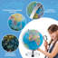 Tabletop Globe
