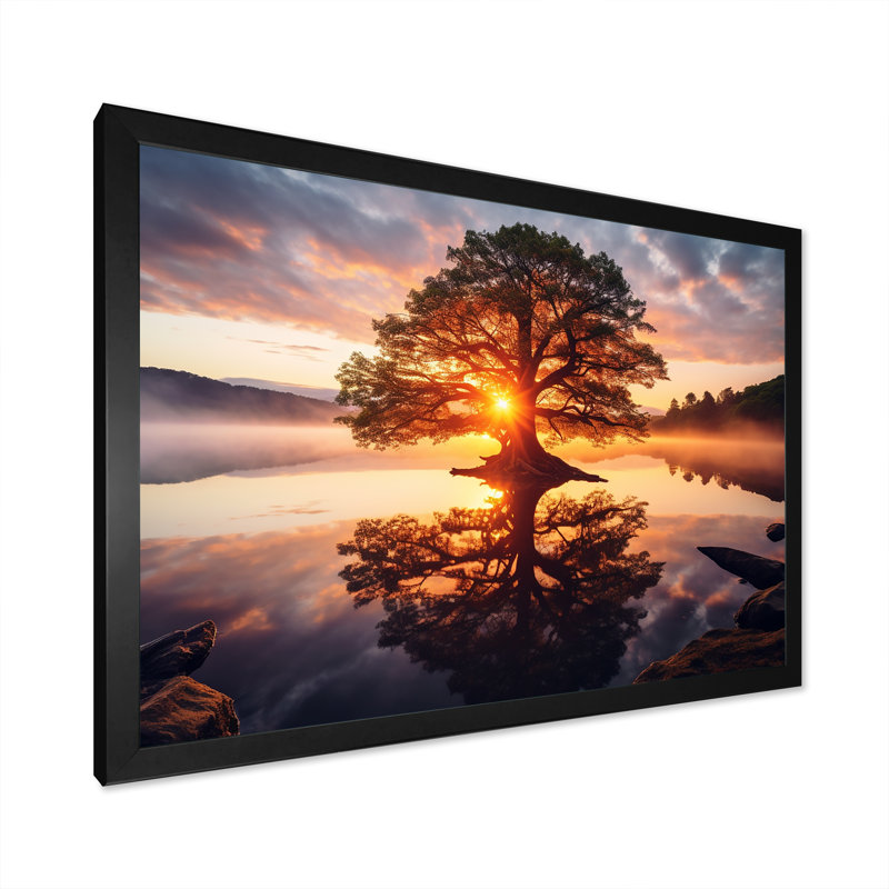 Soleil couchant à travers les arbres au bord du lac sur toile, Cadre photo noir, H 24 po x l 32 po x P 1 po