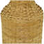 Bambou d'Afrique-203546504-203546549