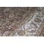 Oriental Area Rug