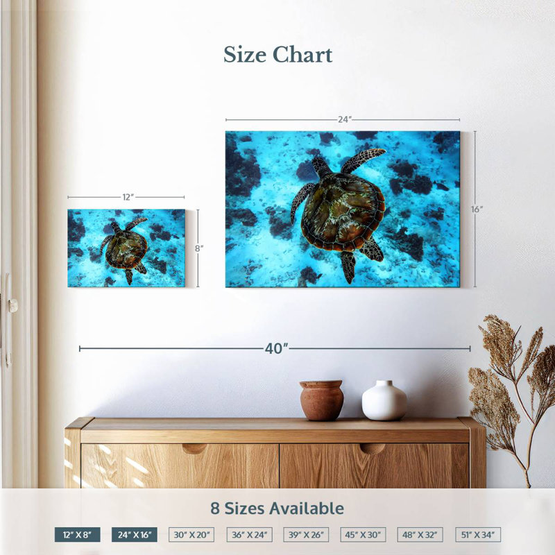 Brampt Turtle Habitat, 16" H x 24" W