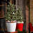 Behrens Manufacturing Decorative Bin-96947884