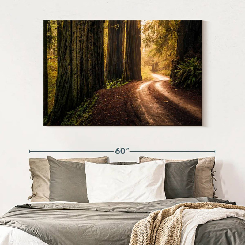 Howland Hill Road Redwoods, 34" H x 51" W