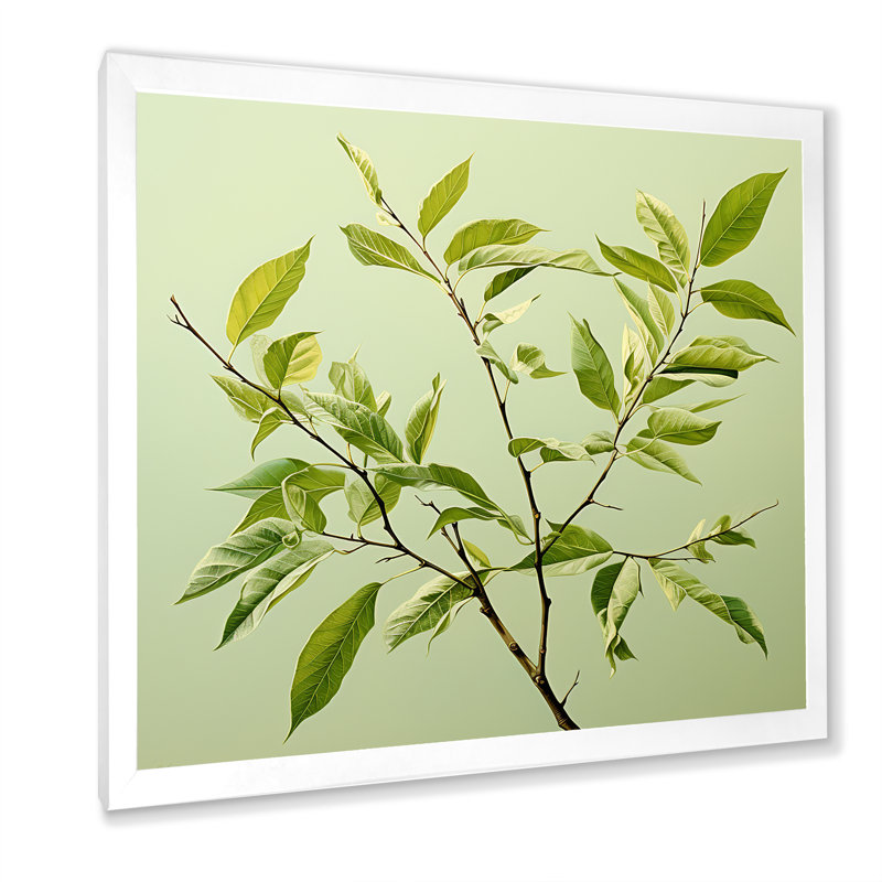 " Green Ferm Simple Collage I ", White Single Picture Framed, 36" H x 36" W x 1.5" D