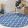 Desota Hand Woven Cotton Geometric Rug