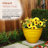 Indoor/Outdoor Round Planter-1224369402-1246871186