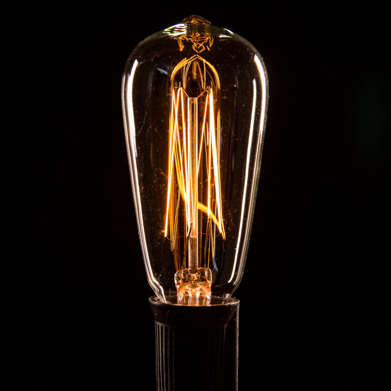 Guirlande commerciale 100 lumières 80 lumières Edison, Noir, 300 po L