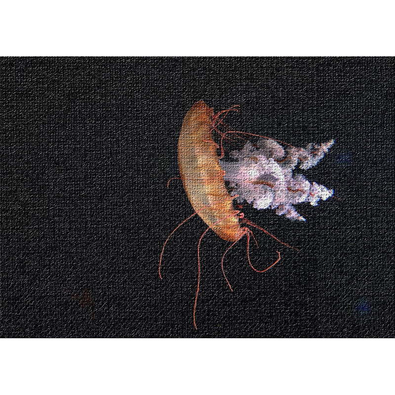 Indoor Rug, Rectangle 5' x 7'