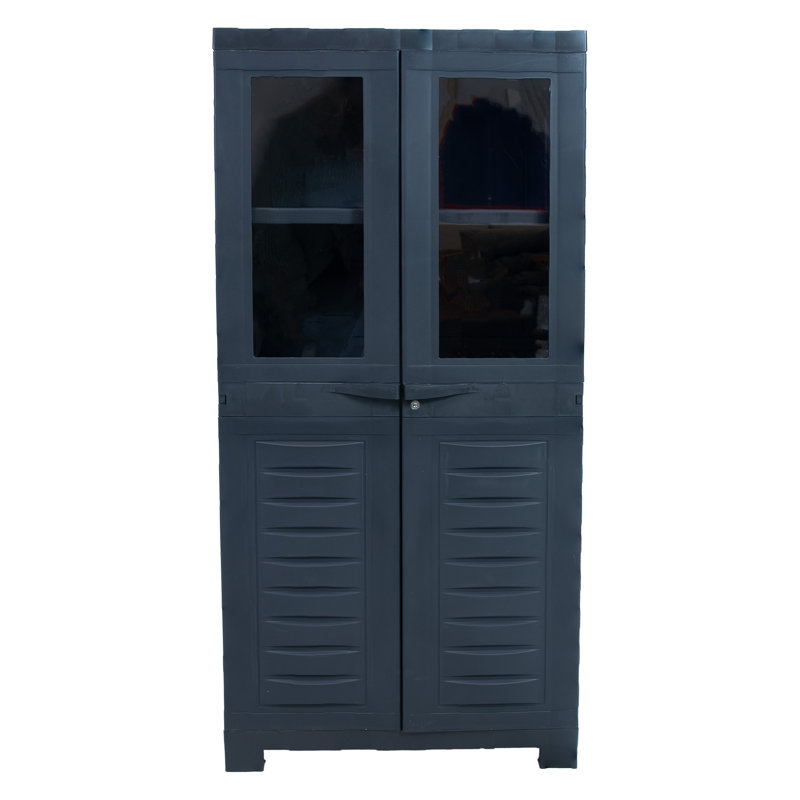 Armoire de rangement avec 3 tablettes réglables et 2 fenêtres - gris anthracite