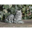 Cat Garden Statue-13914448