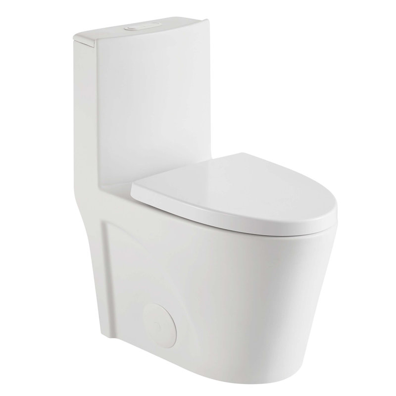 Toilette allongée une pièce à double chasse avec chasse d'eau à haut rendement, Blanc mat