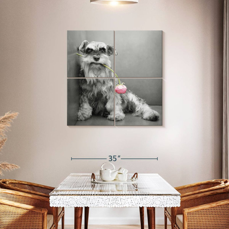 Brampt Ziggy BW, 38" H x 38" W