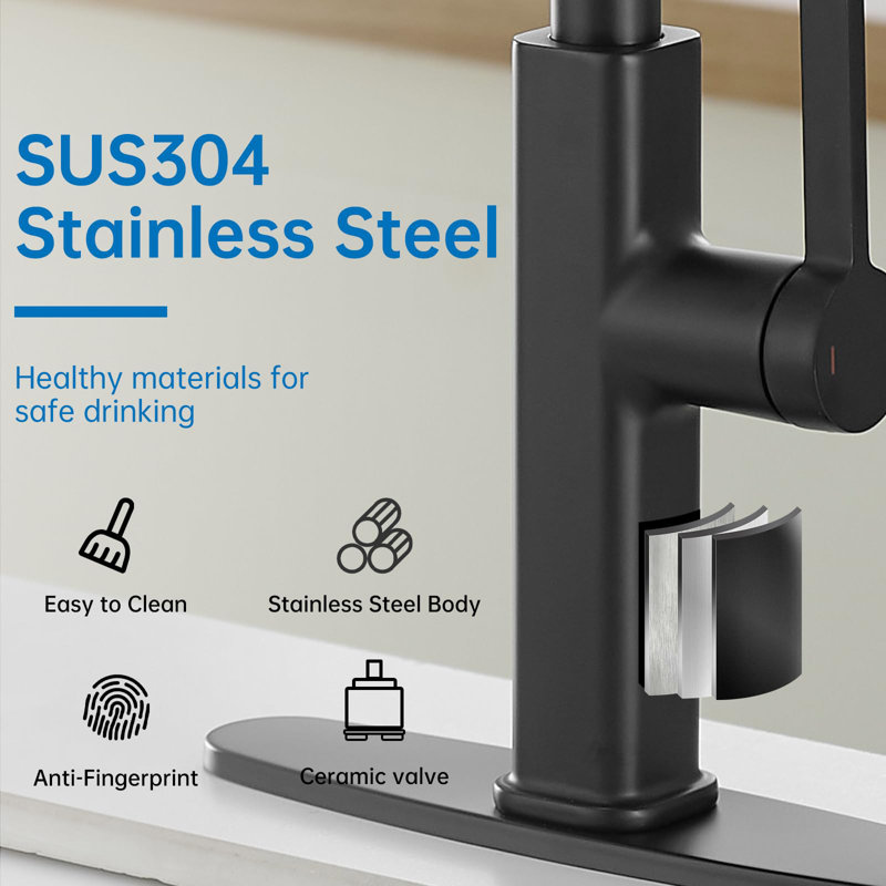 Matte Black Stainless Steel Kitchen Faucet with Pull-Down Spray