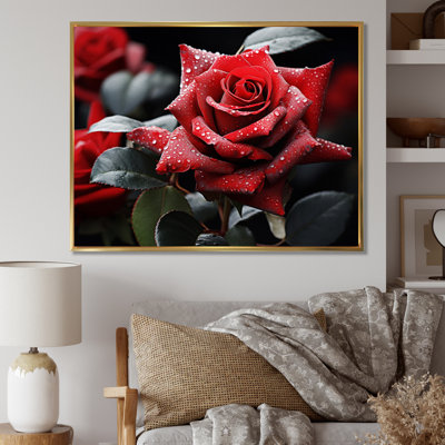 " Water Drops On Red Rose Majesty I "