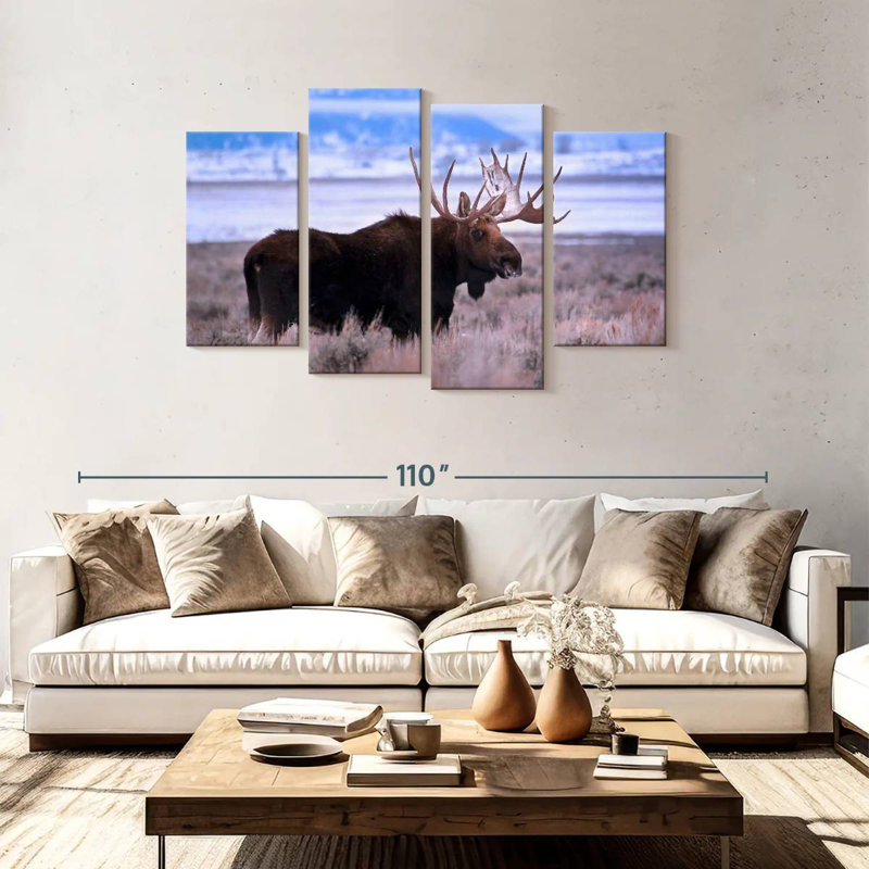 Brampt Teton Bull Moose, 48" H x 75" W