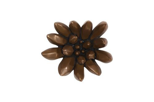 Compactum Succulent Wall Art, Imperial Bronze